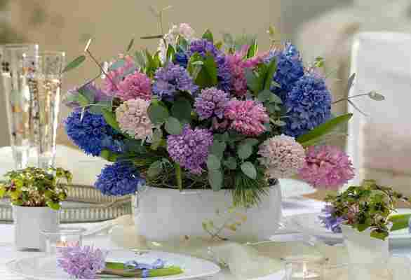 Flores de jacinto para decorar y aromatizar tu espacio en primavera